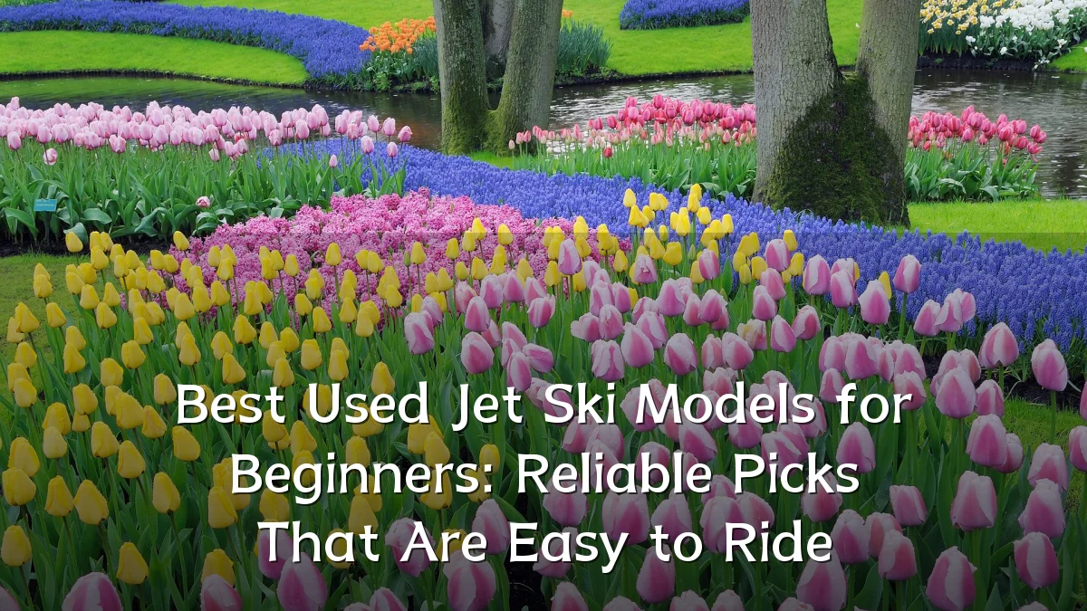 Best Used Jet Ski Models for Beginners: Reliable Picks That Are Easy to Ride