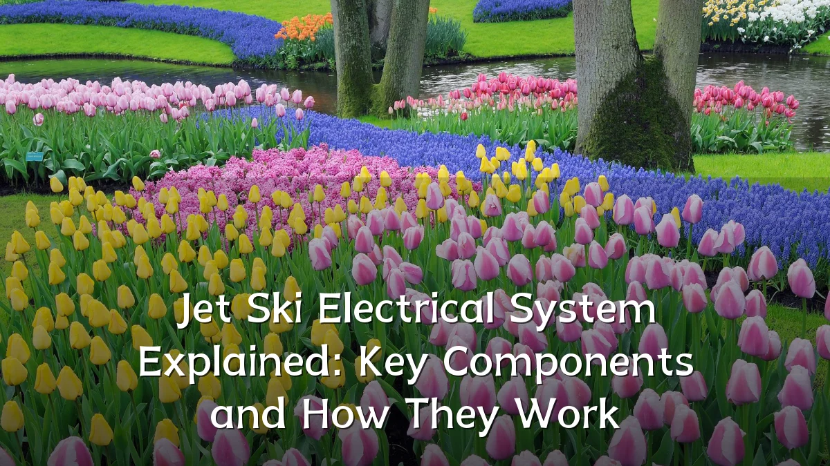 Jet Ski Electrical System Explained: Key Components and How They Work