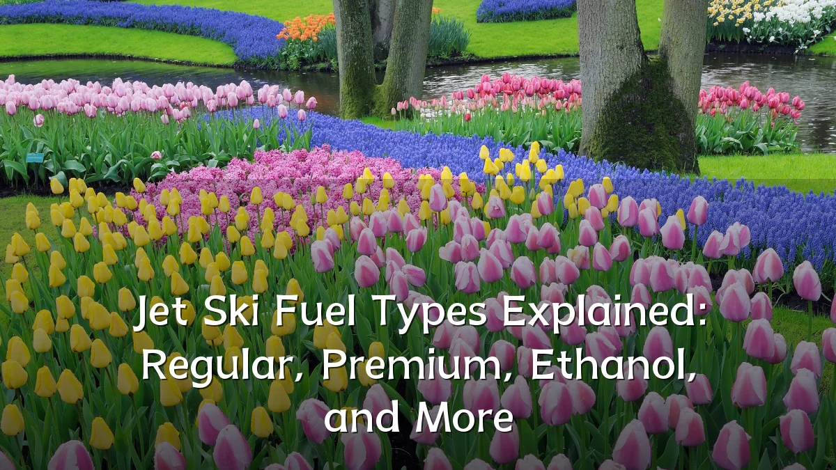 Jet Ski Fuel Types Explained: Regular, Premium, Ethanol, and More