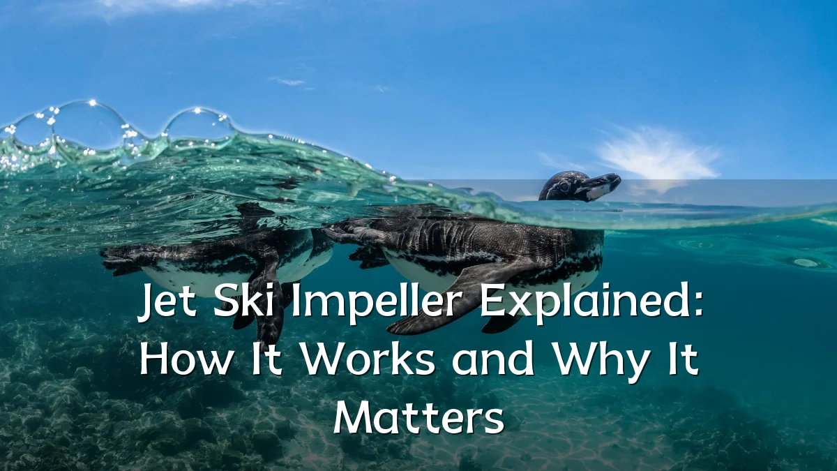 Jet Ski Impeller Explained: How It Works and Why It Matters
