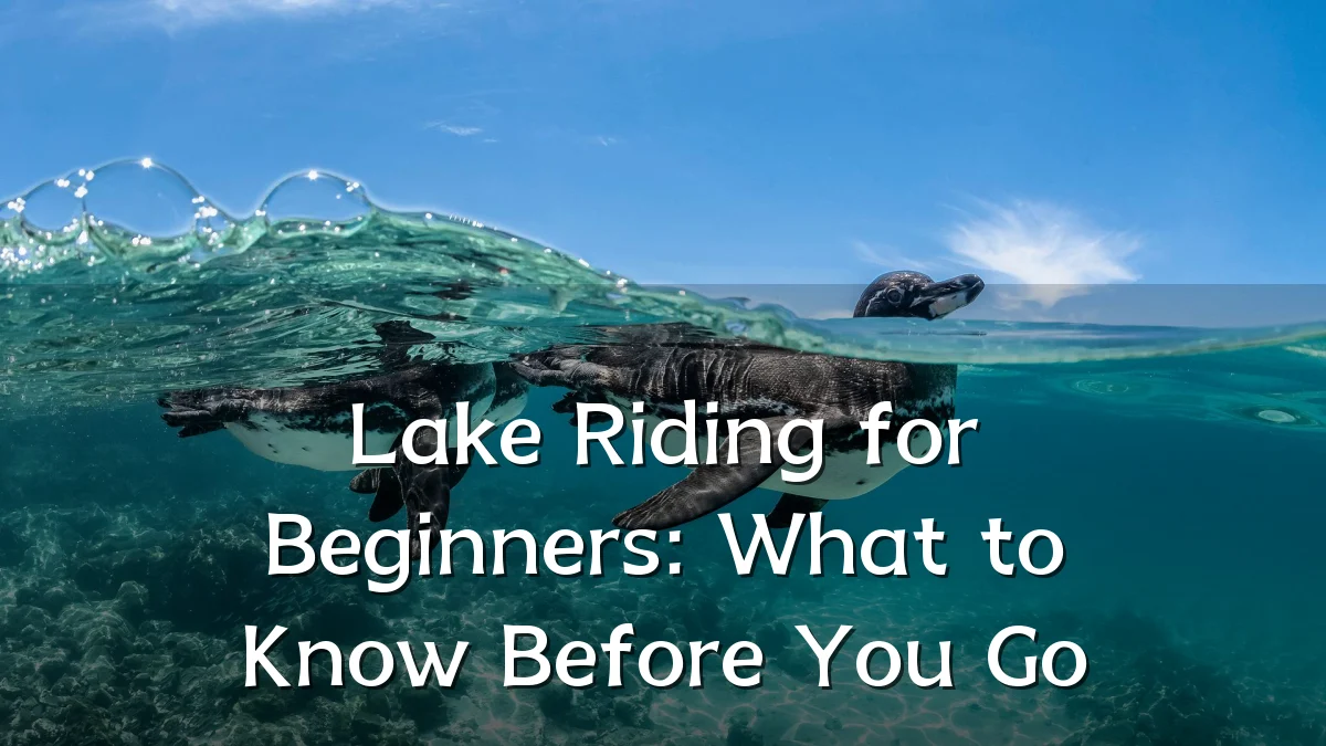 Lake Riding for Beginners: What to Know Before You Go