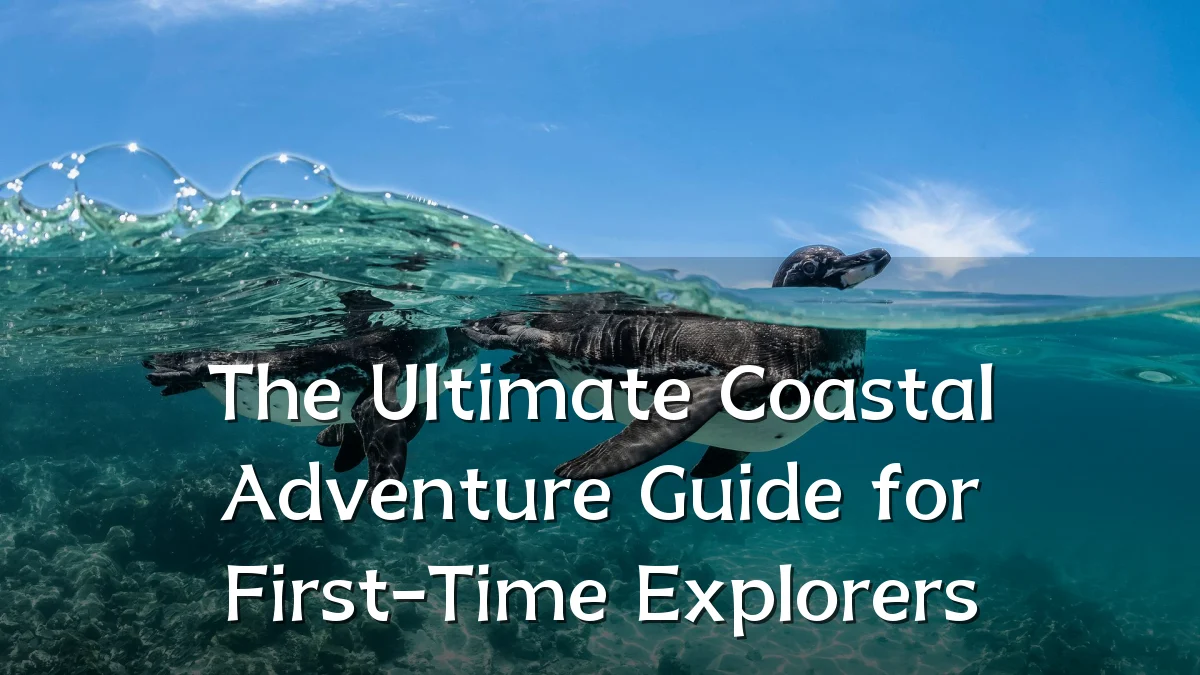 The Ultimate Coastal Adventure Guide for First-Time Explorers