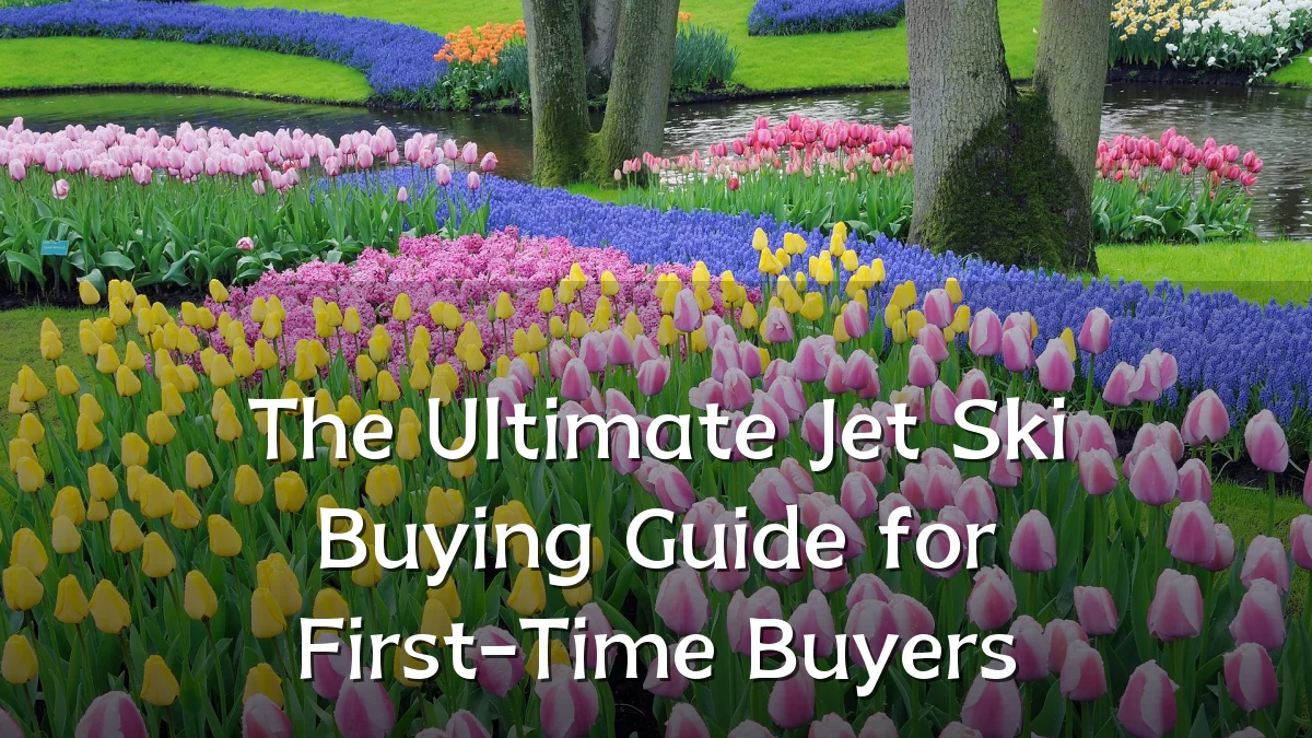 The Ultimate Jet Ski Buying Guide for First-Time Buyers