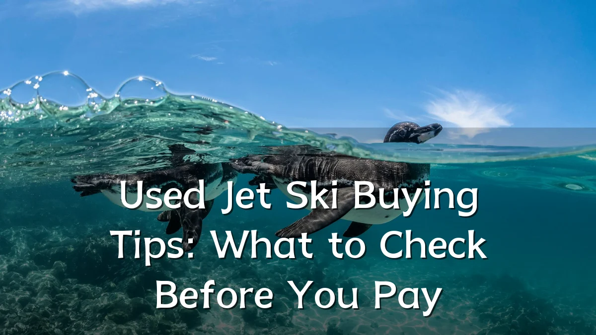 Used Jet Ski Buying Tips: What to Check Before You Pay