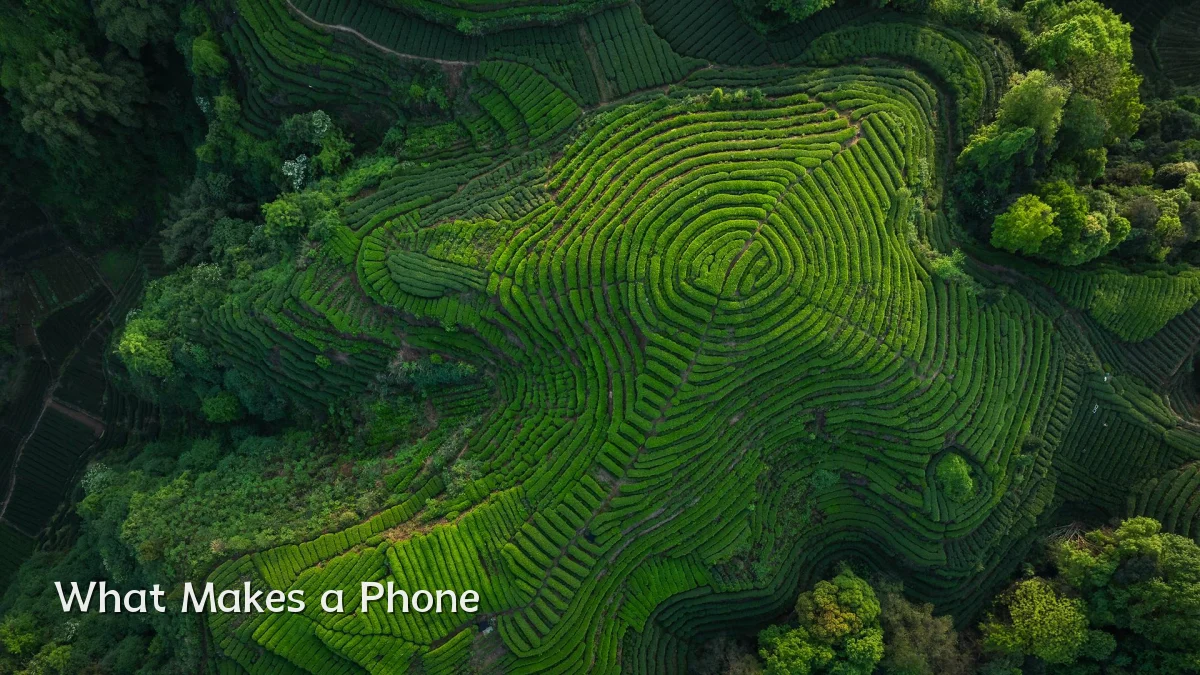 What Makes a Phone