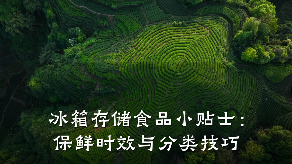 冰箱存储食品小贴士:保鲜时效与分类技巧