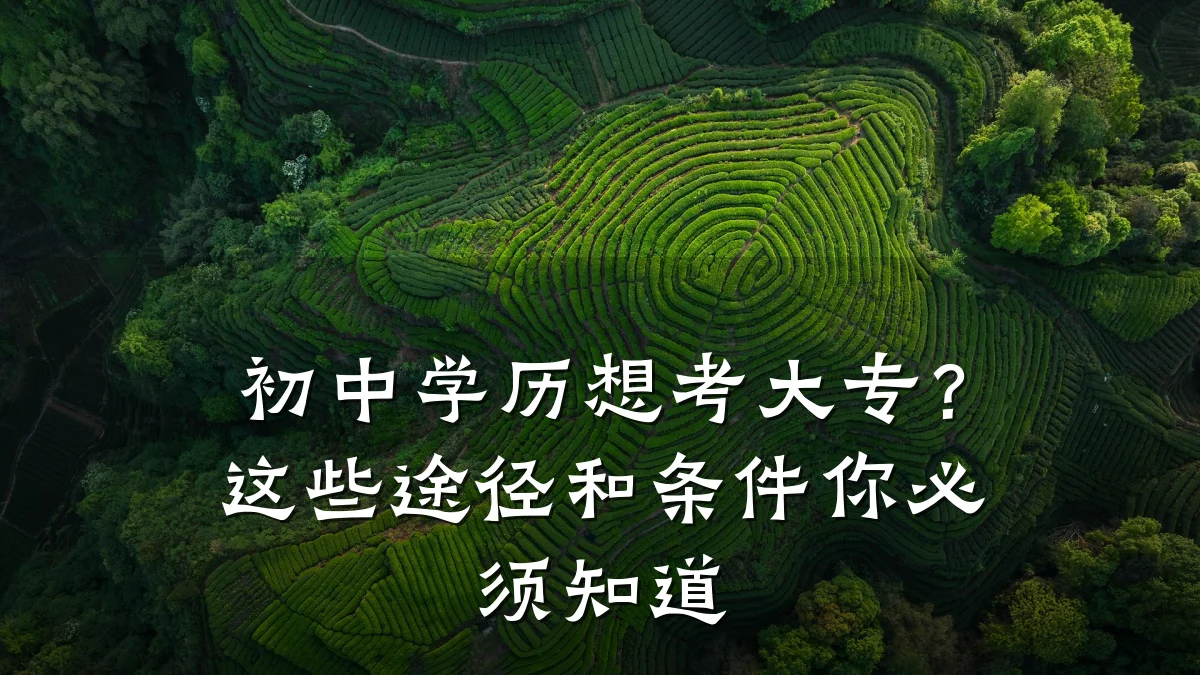 初中学历想考大专?这些途径和条件你必须知道