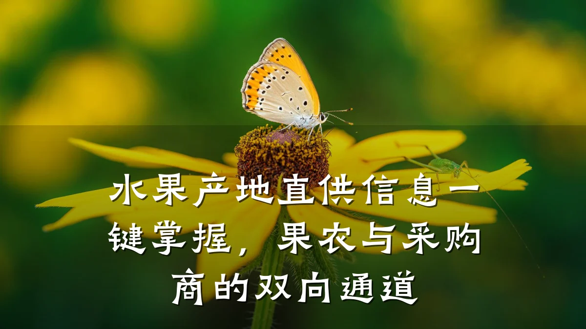 水果产地直供信息一键掌握，果农与采购商的双向通道