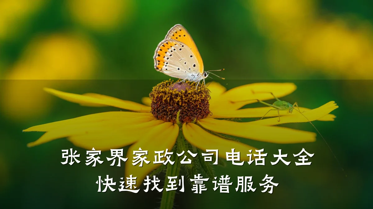 张家界家政公司电话大全 快速找到靠谱服务