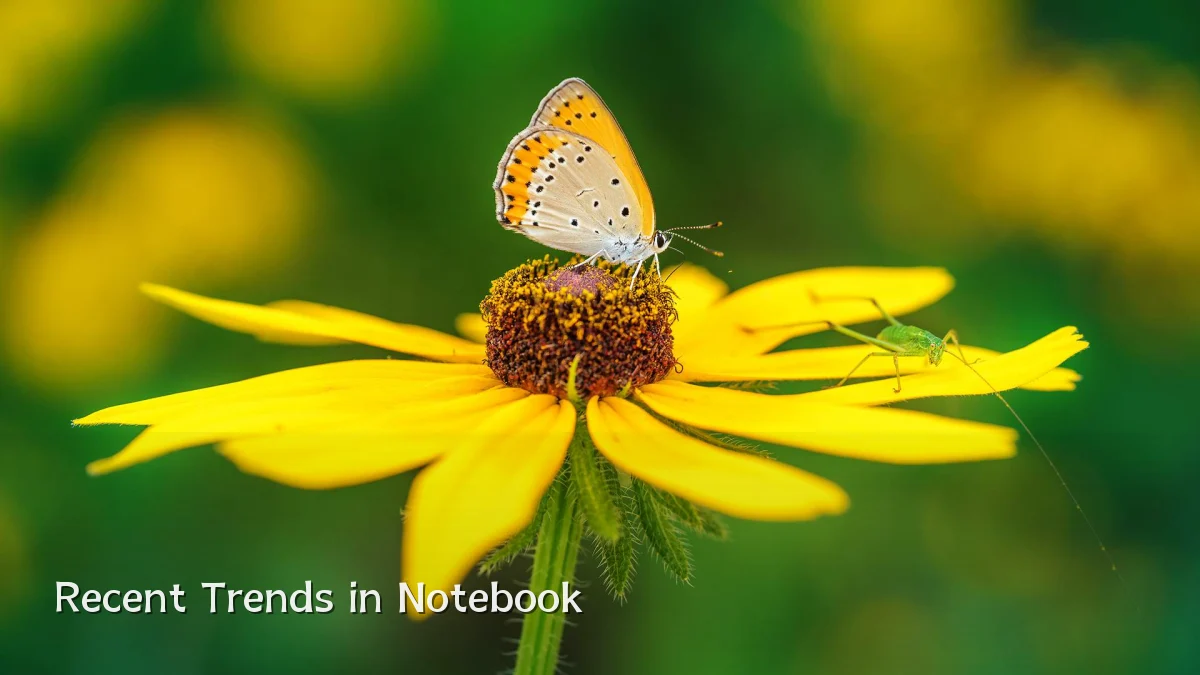 Recent Trends in Notebook