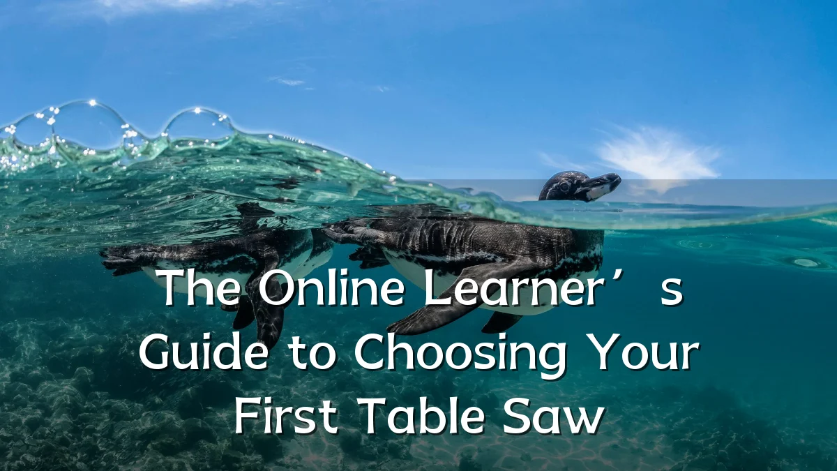 The Online Learner’s Guide to Choosing Your First Table Saw