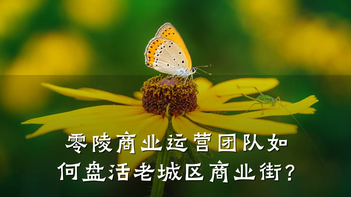 零陵商业运营团队如何盘活老城区商业街？