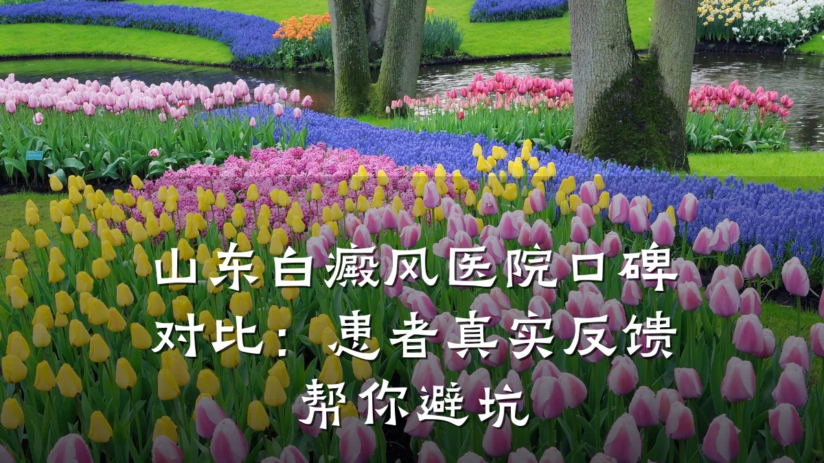 山东白癜风医院口碑对比:患者真实反馈帮你避坑