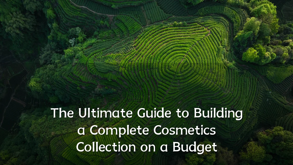 The Ultimate Guide to Building a Complete Cosmetics Collection on a Budget