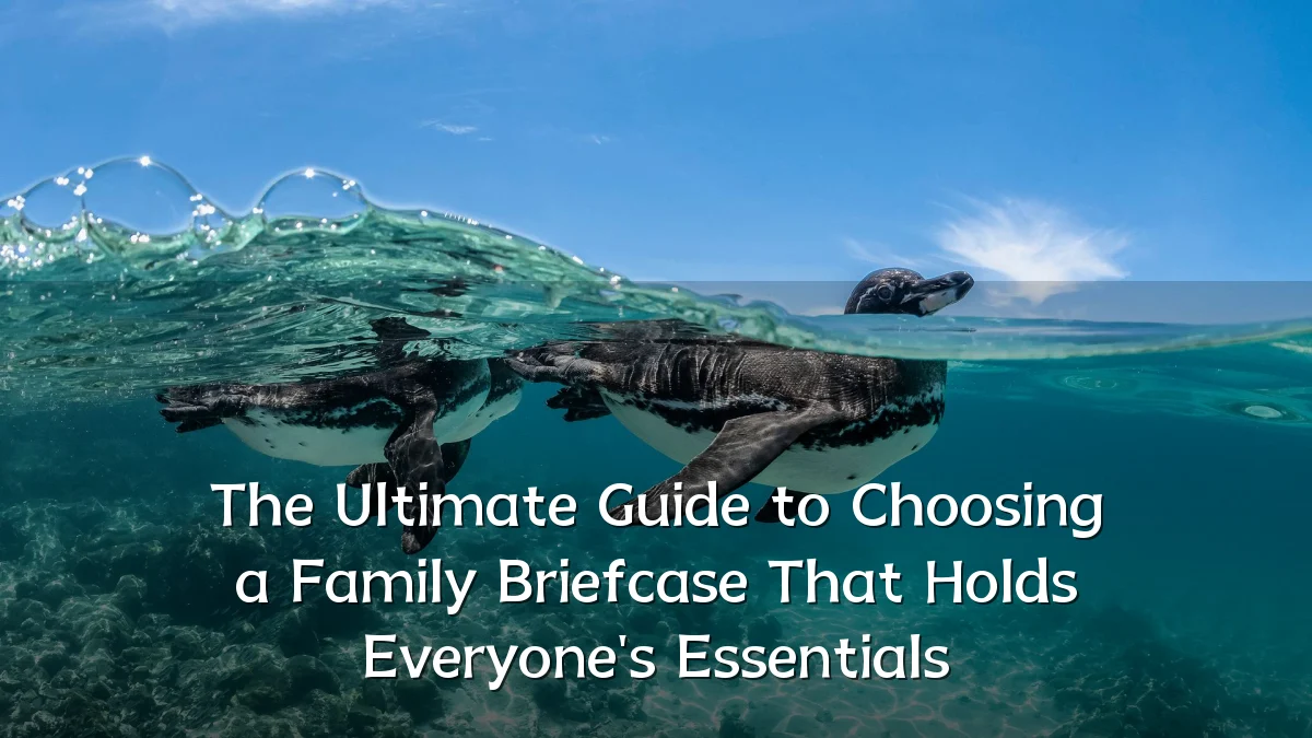 The Ultimate Guide to Choosing a Family Briefcase That Holds Everyone's Essentials