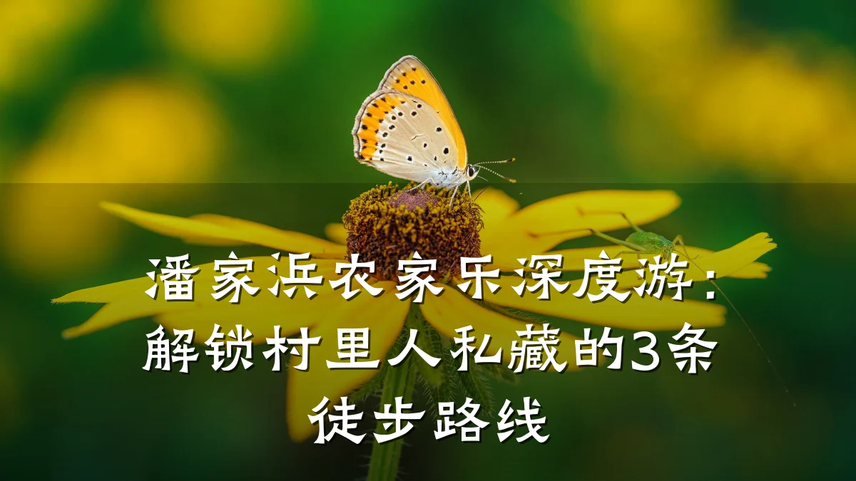 潘家浜农家乐深度游：解锁村里人私藏的3条徒步路线
