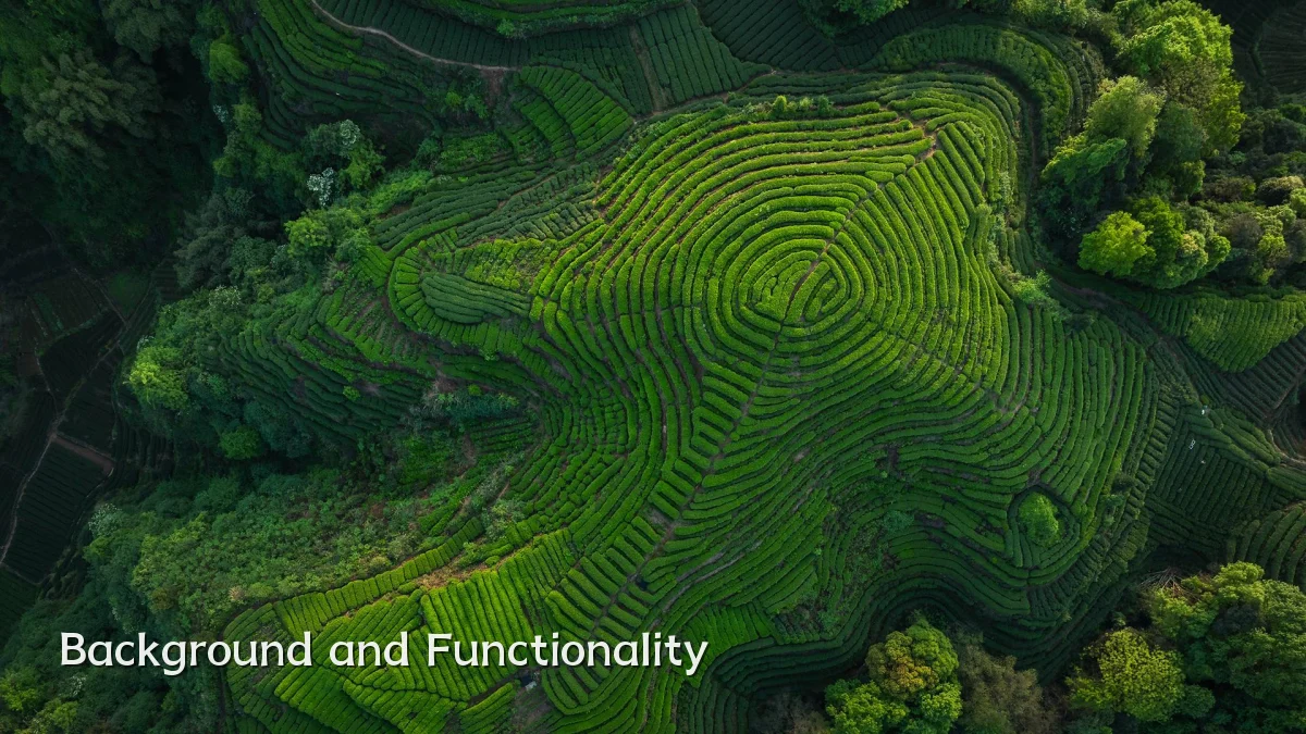 Background and Functionality